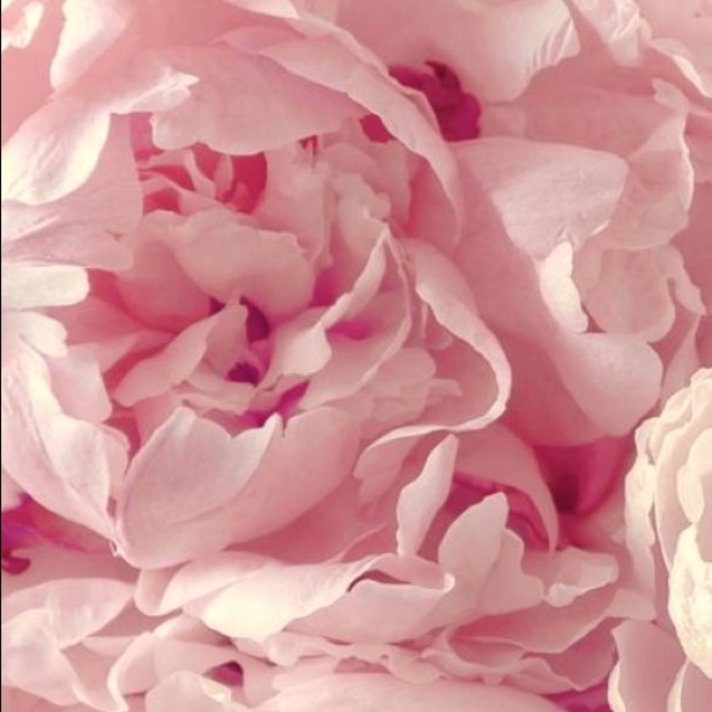 Meet your Posher, Crdmlr